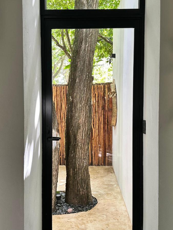 Cenote Azul Casa Arabe 빌라 외부 사진