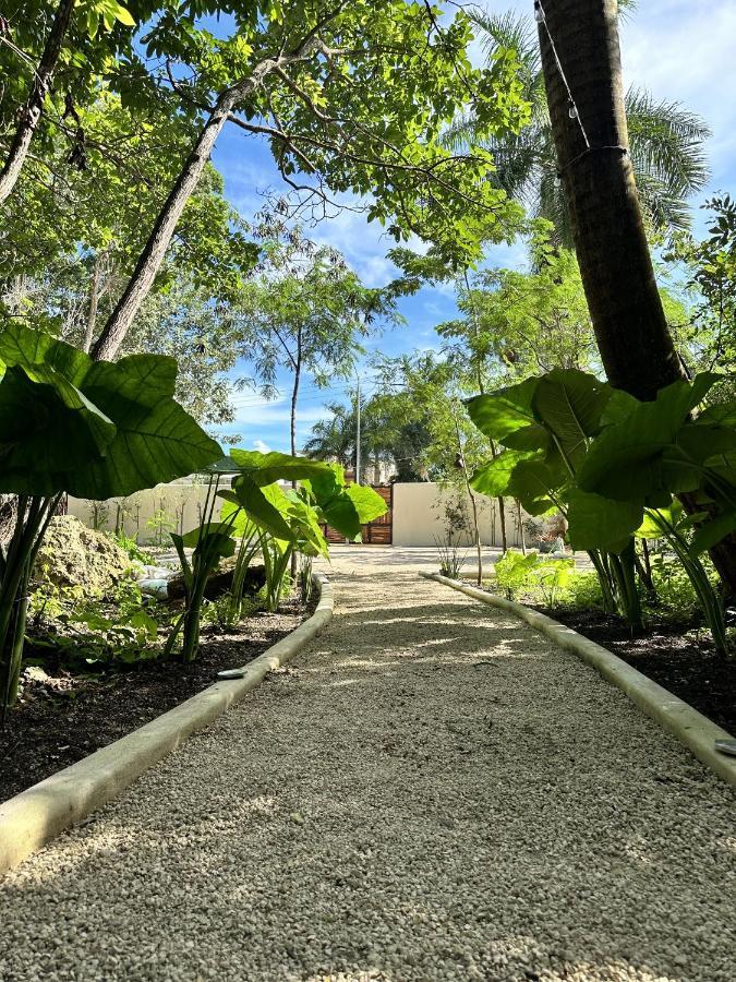 Cenote Azul Casa Arabe 빌라 외부 사진