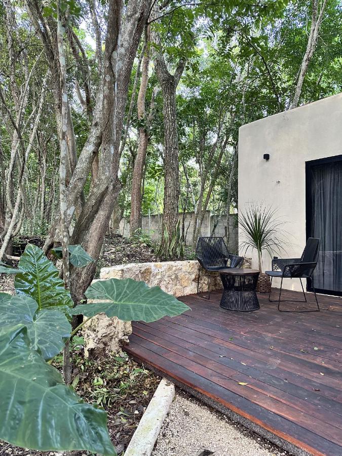 Cenote Azul Casa Arabe 빌라 외부 사진